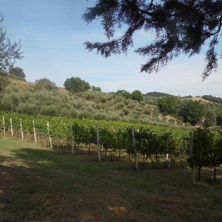 Podere Caldaruccio La Pineta Perugia Exterior photo